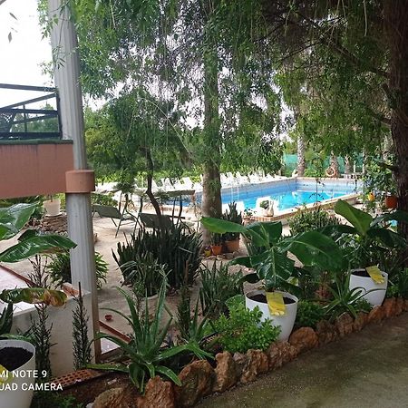 Casa Rural Complex Masia Del Tremendo Y Agroturismo Camarles Экстерьер фото