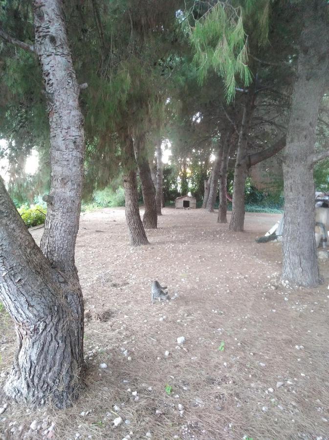 Casa Rural Complex Masia Del Tremendo Y Agroturismo Camarles Экстерьер фото