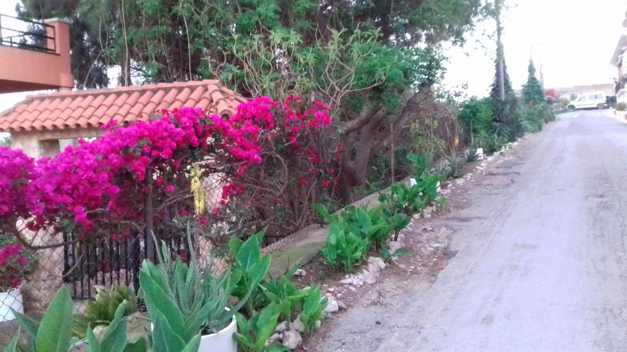 Casa Rural Complex Masia Del Tremendo Y Agroturismo Camarles Экстерьер фото